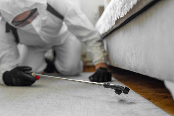 Professional Bed Bug Control technician working in Ramsey, NJ
