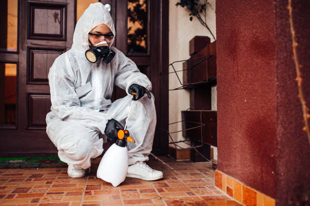 Reliable Bed Bug Control contractor in Ramsey, NJ by Nex Pest Control