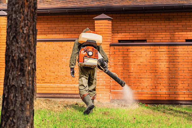Trusted Bed Bug Control service in Ramsey, NJ - Nex Pest Control